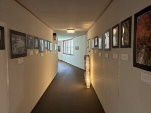 糠平温泉中村屋建物廊下の展示