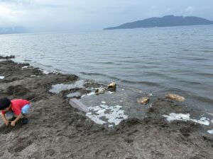 屈斜路湖砂湯砂を掘ったところ