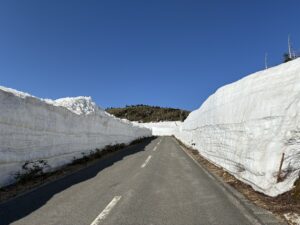 雪の回廊